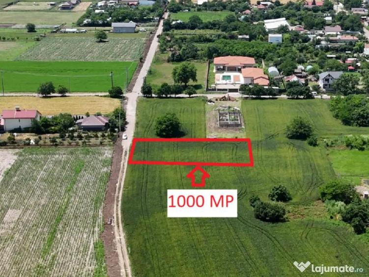 DASCALU-CREATA, LOT 1.000 MP! - 3