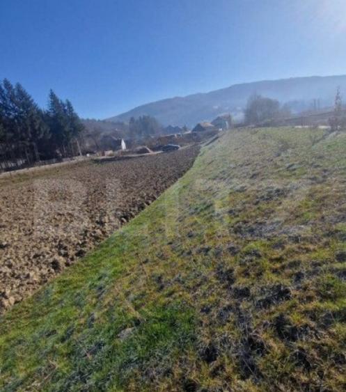 Teren extravilan - Sita Buzaului -6800 mp posibilitate trece - 10