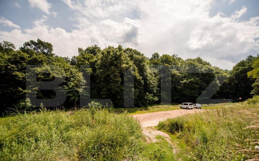 Teren intravilan de vanzare, 1872 mp, zona Valea Popii - Alb - 4