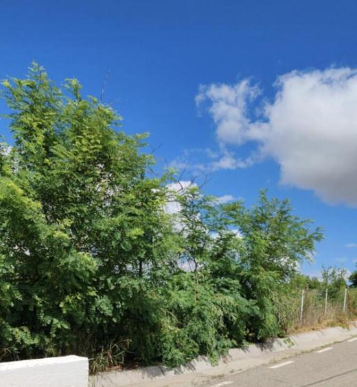 Teren Intravilan de inchiriat - 6