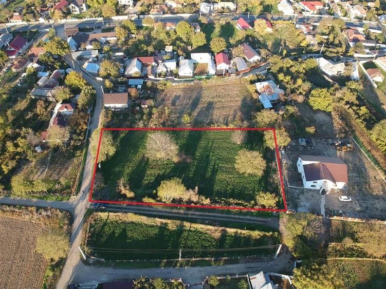 TEREN DE VANZARE BOLOTESTI - 2