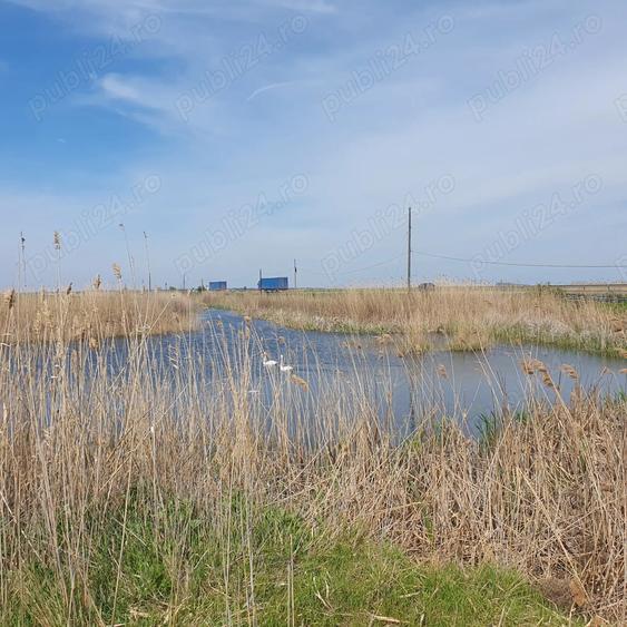 De Vanzare, Casa la tara - 7