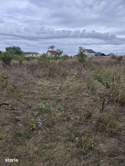 Teren Intravilan locuinte langa padure Pruni, Magurele, Ilfov, - 6