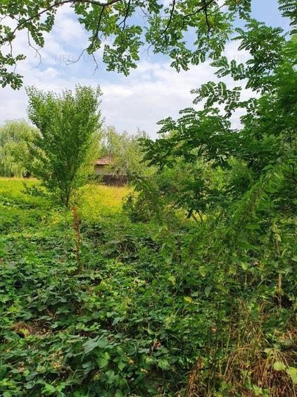 PARADISUL VERDE- teren in suprafata de 1 326 mp,. utilitati - 3