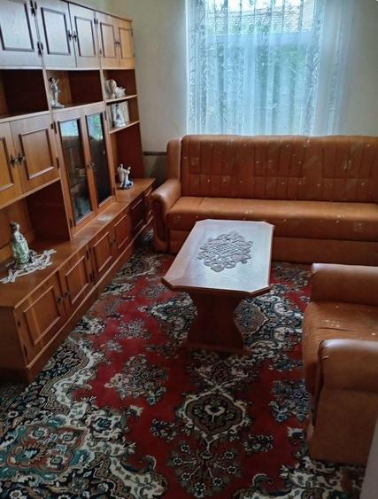 Vand Casa cu anexe si 2400 m/p Boureni, Dolj - 2