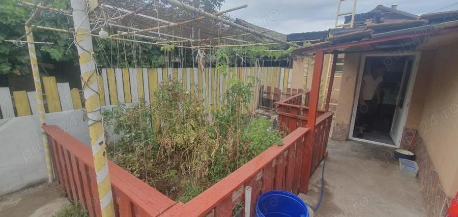 Medeea - Casa 3 camere - 4