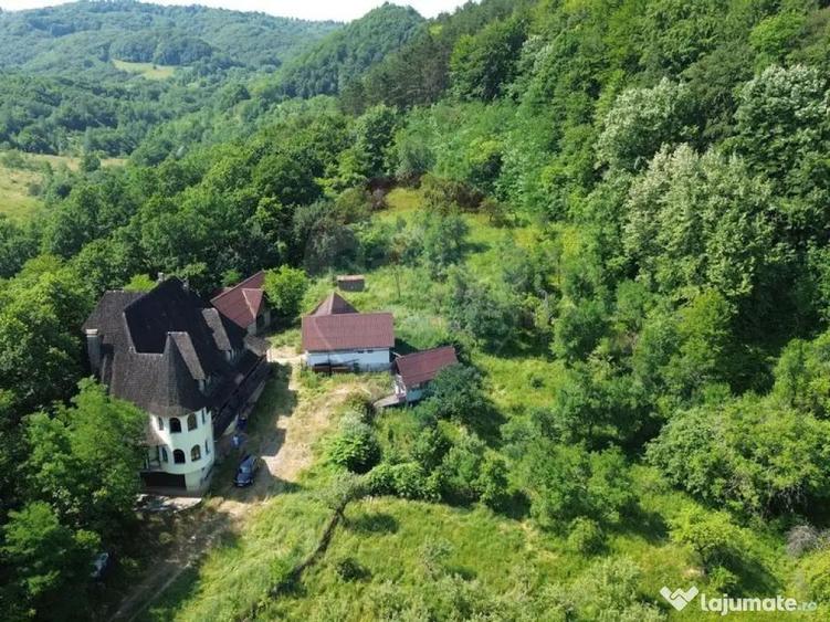 CASTEL DE VANZARE IN MARAMURES - 6