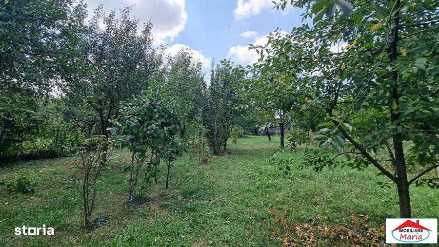 Casa parter si mansarda zona Unirii- Dara cu teren - 7