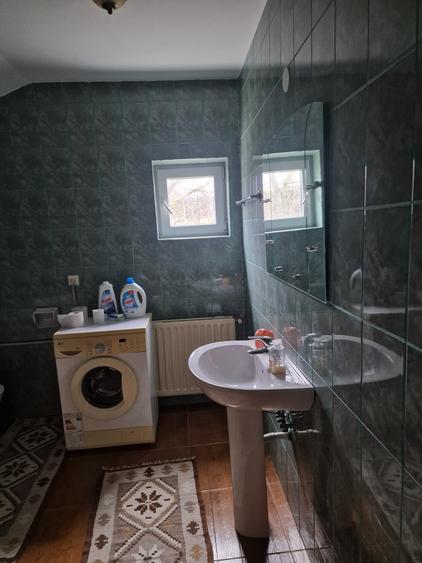 Vila P+E si teren intravilan 1,5Ha,cu zavoi+iaz,lac peste si livada-investitie - 8