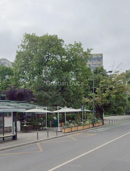 Spatiu comercial pe Beller cu terasa - Dorobanti