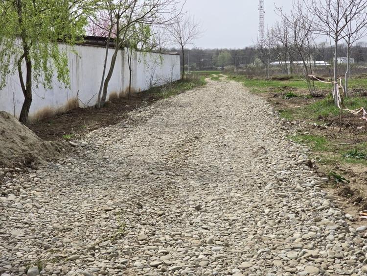 Teren Construcții intravilan de 4783 mp, în Ciolpani