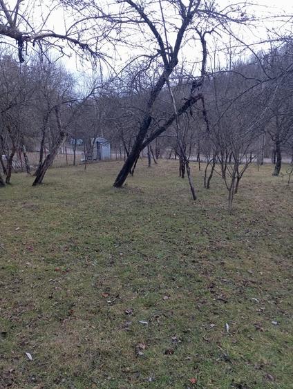Teren de 2000 mp, în Ocina de Sus