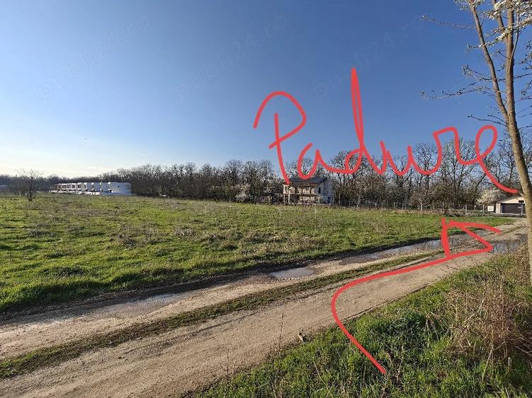 Teren de 600 mp, în Bucov