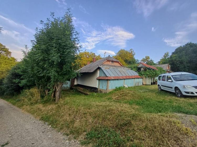 casa  cu 6500mp teren intravilan - 4