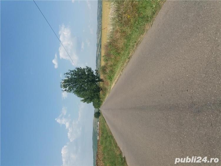 Teren de 5000 mp, în Pleașa