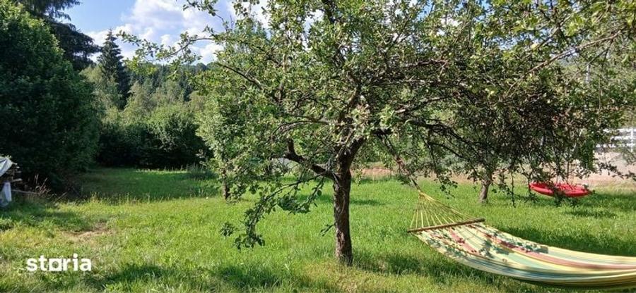 Persoana fizica vand teren cu utilitati in Rasca - 1