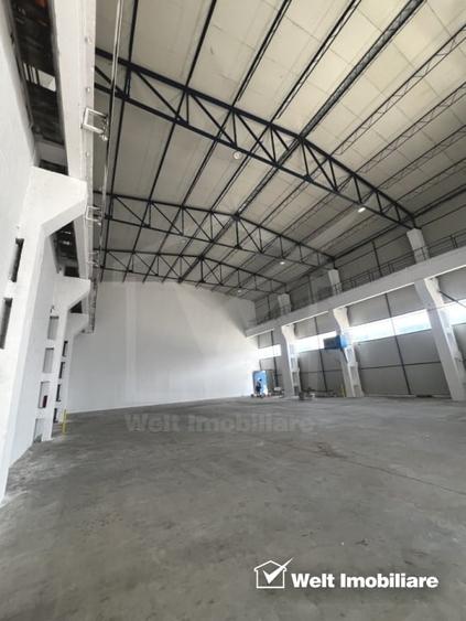 Hala depozitare sau productie 570mp, 2 rampe, Someseni - Aeroport - 3