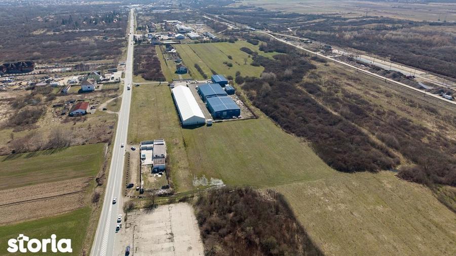 Teren extravilan de 7.000 mp langa Paltini? - 17