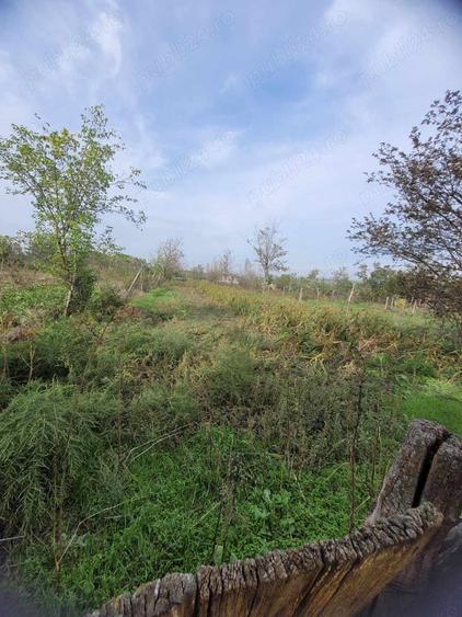 Casa de vanzare ! - 2