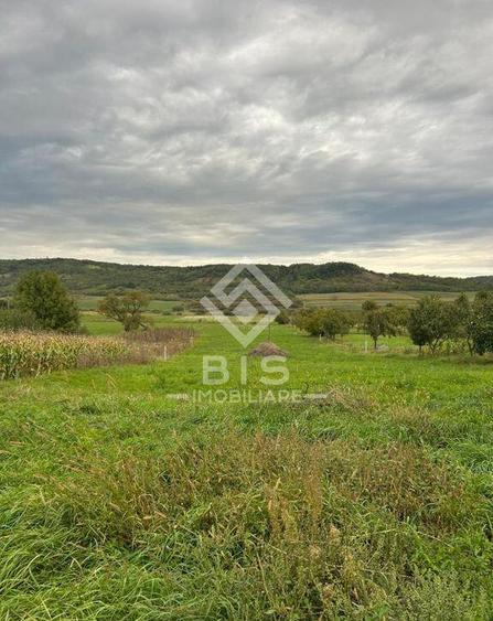 Casa de vanzare in localitatea Sintereag - 10