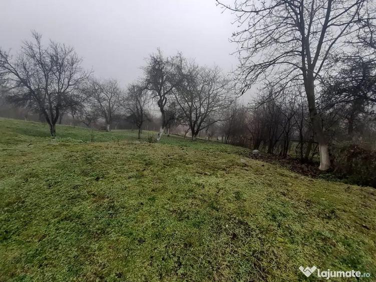 Baia Sprie, casa caramida, 9,4 ari teren - 8