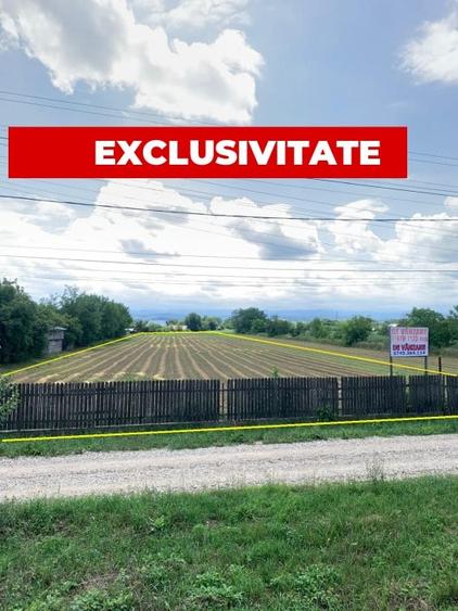 Teren de vanzare 7.123 mp intravilan, Buhusi - 2