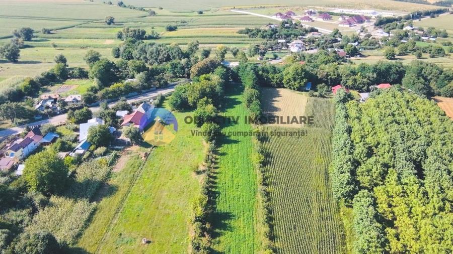 TEREN intravilan  6764 mp DRAGOMIRESTI - VAD - 5