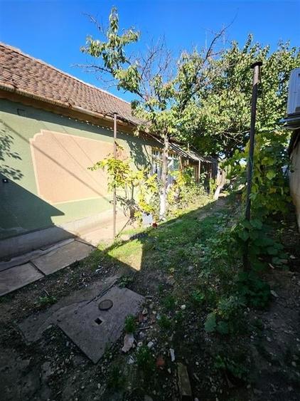 RECO Casa cu 2 camere , anexe gospodaresti si teren in Salonta - 1