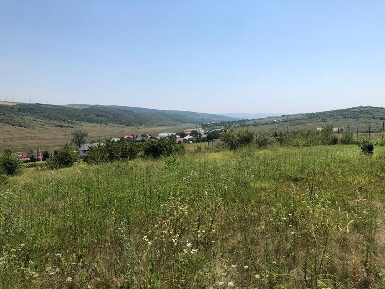 Teren de 5000 mp, în Vânători