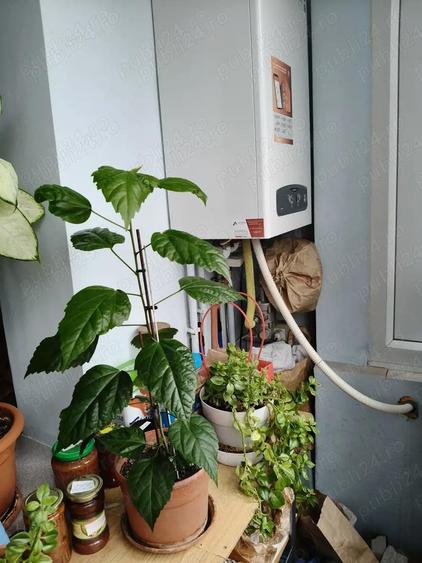Apartament 3 camere Lipovei etaj 2 langa Scoala amenajat mobilat utilat ocupabil imediat - 6