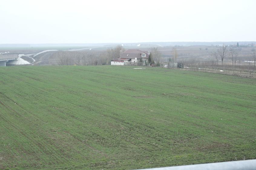 PARTICULAR, 10.200 mp. teren intravilan Moara Vlasiei, langa nodul A3 si Balta - 4