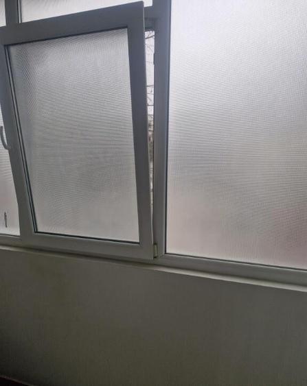 Apartament 3 camere Crang - 10