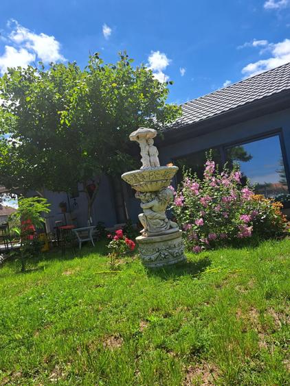 2 case + spațiu comercial | 6 dormitoare - băi proprii | 685 MP Teren - 2