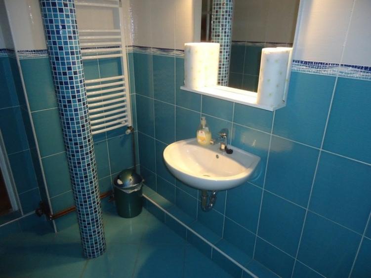 Inchiriere casa pentru locuit/birouri, zona Budiului - 10