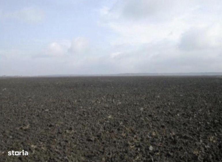 Teren arabil cat.1, cernozion, 1010 ha, Banat - 2