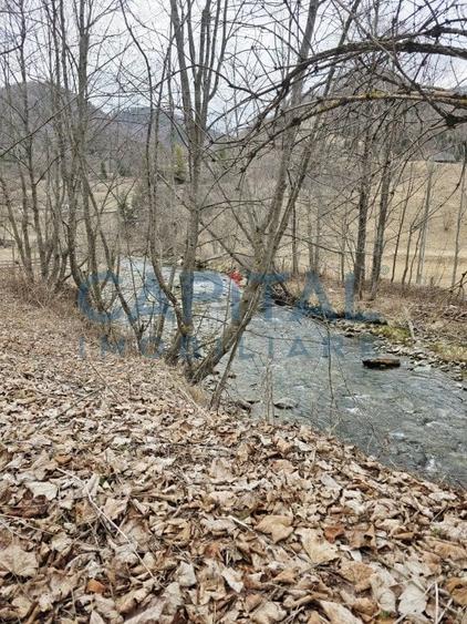 Cabana la munte Rucar / Satic - 24