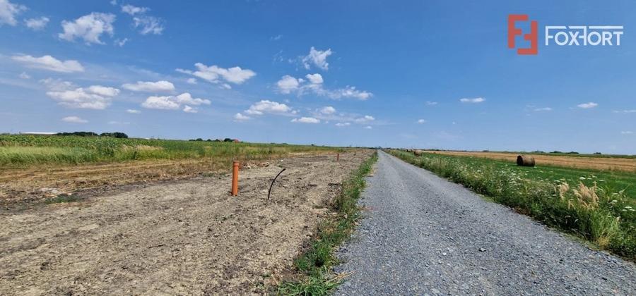 Teren intravilan cu toate utilitatiile zona Daimond Events Sacalaz - ID V5476 - 7