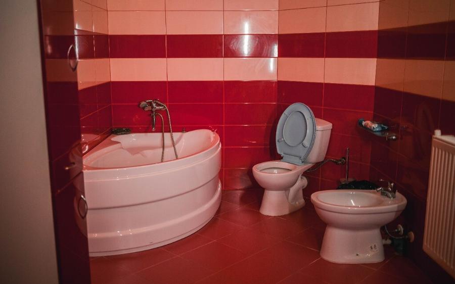 Pensiune sau casa locuit 4 camere Gureni,Gorj,Valea Bistri?ei Gorjene - 10