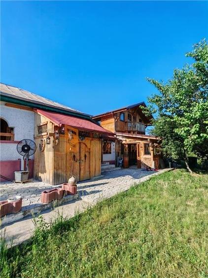 Teren intravilan + casa zona Fintesti - 12