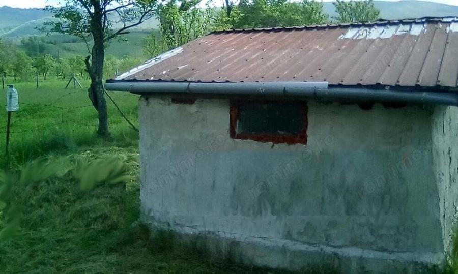 Proprietate la Munte. Casuta 11 MP., Teren 1400 MP, Drum Asfalt 20 KM de Herculane - 1