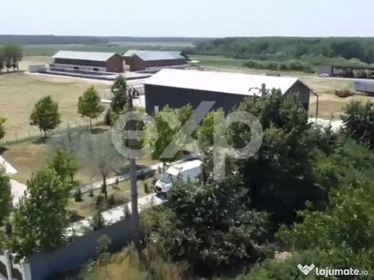 Black Angus Farm with authorized Slaughterhouse - 7