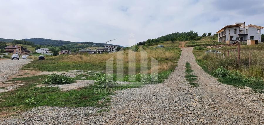 Teren Intravilan | 1347 mp | 35 ml deschidere | Cetate - 1