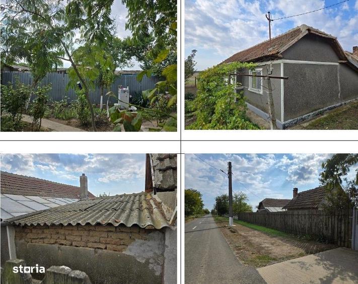 Casa si teren cota parte 1/8, sat Viisoara, com Cobadin, ID: R2982541 - 1