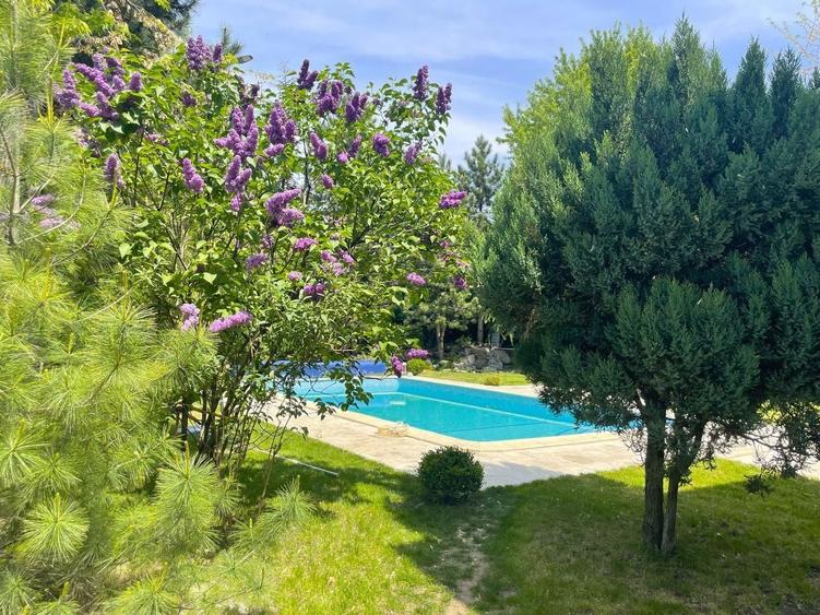 Eleganță în Vila de Excepție  |   Vila cu piscina încălzită - 5