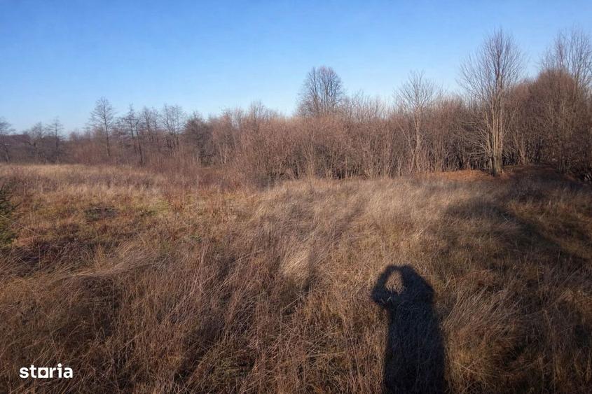 Teren extravilan | Vicovu de Jos | Pre? 25.000 - 4