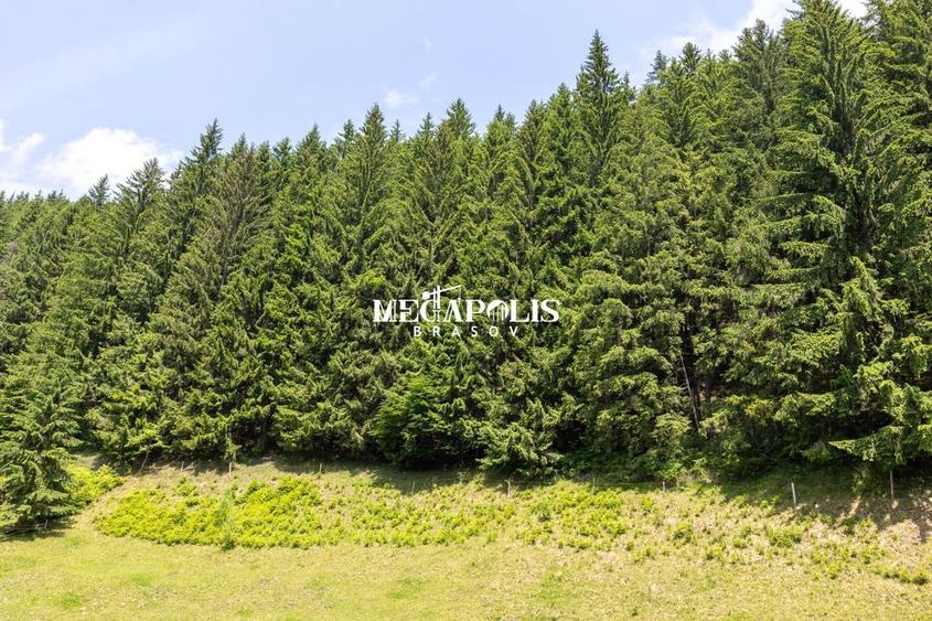 Pretabil Hotel,Pensiune,Case de Vacanta/Utilitati/PUZ - 23