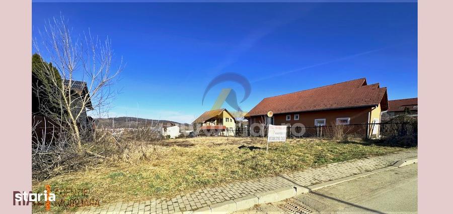 Teren intravilan in zona BinderBubi 2.500 mp - 3