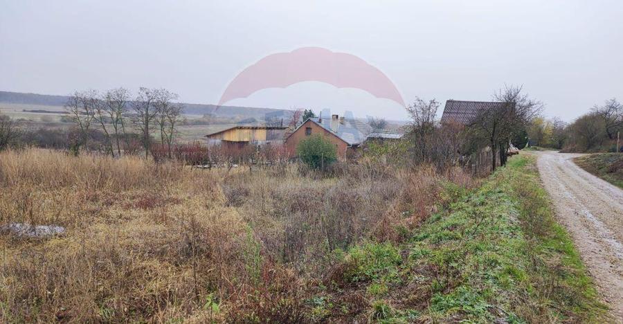 Loc de casa si teren cultivat cu vita de vie 1,28 Ha Sant... - 3