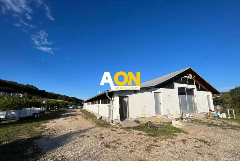 Ferma de vanzare cu 550MP utili si 27.500MP teren la asfalt - 6