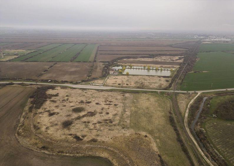 Teren extravilan in Ineu - 9